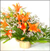 Sweet surrender - Click here to View more details about this Product